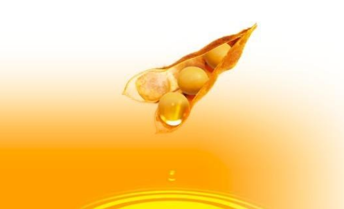 豆油期貨波動(dòng)一個(gè)點(diǎn)多少錢(qián)？豆油期