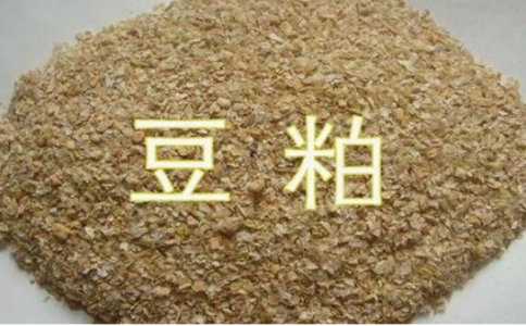 豆粕期貨是屬于熱門(mén)品種嗎？豆粕開(kāi)
