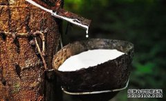 橡膠上漲仍可期，焦炭期現(xiàn)聯(lián)動，向