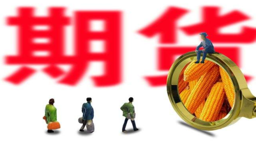 新手投資者怎么買玉米期貨？