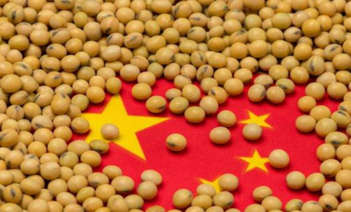 期貨本金虧完了會怎么樣？還需要加